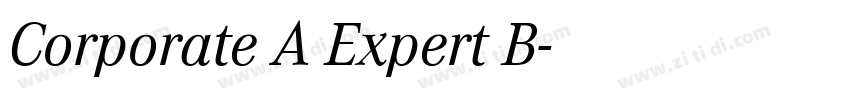 Corporate A Expert B字体转换